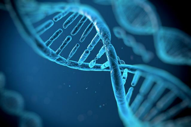 迄今最大全基因组测序新数据公布，有望带来新的诊断、治疗和治愈方法